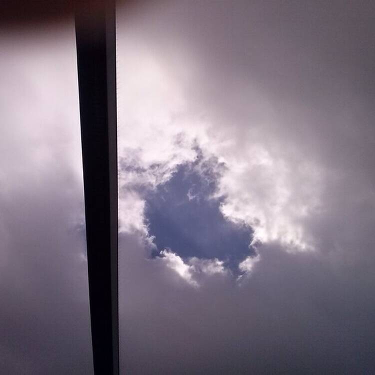 Foto de perfil de Rosa