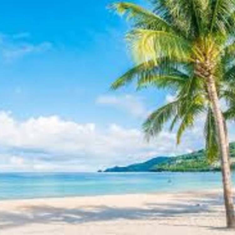 Foto de perfil de yolanda