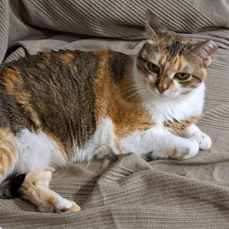 Foto de perfil de marcela