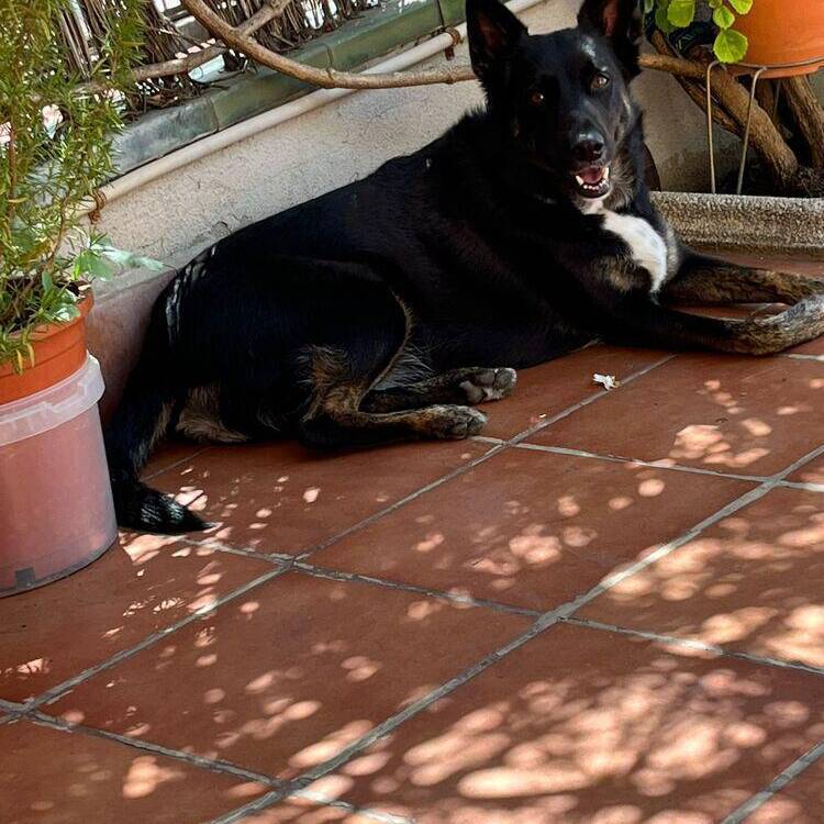 Foto de perfil de Maria