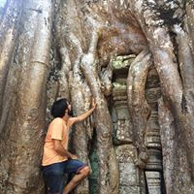 Foto de perfil de David Perart