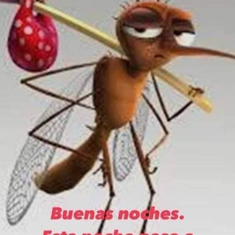 Foto de perfil de Salva