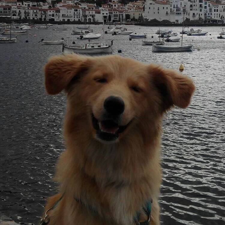 Foto de perfil de Juan