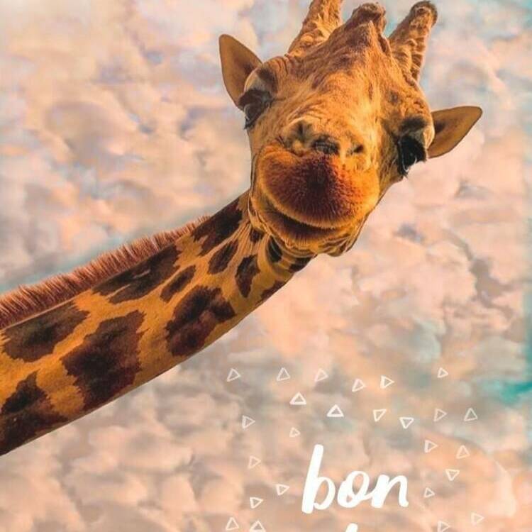Foto de perfil de Mayi
