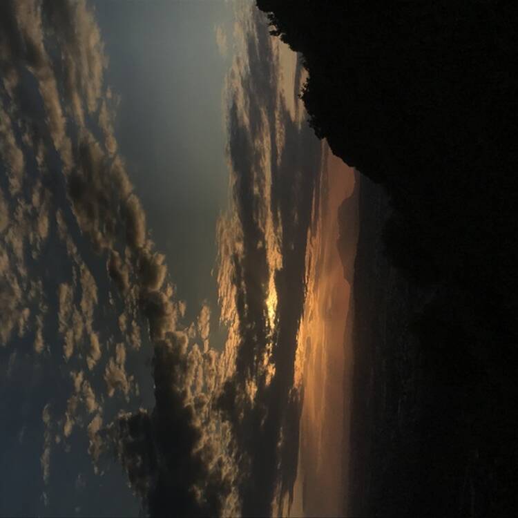 Foto de perfil de Marina