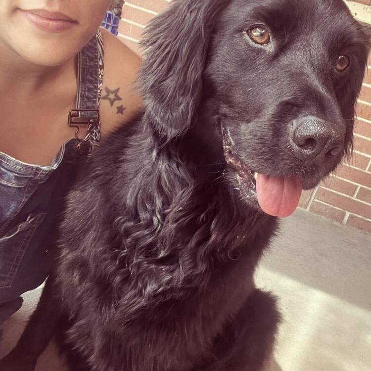 Foto de perfil de Ana