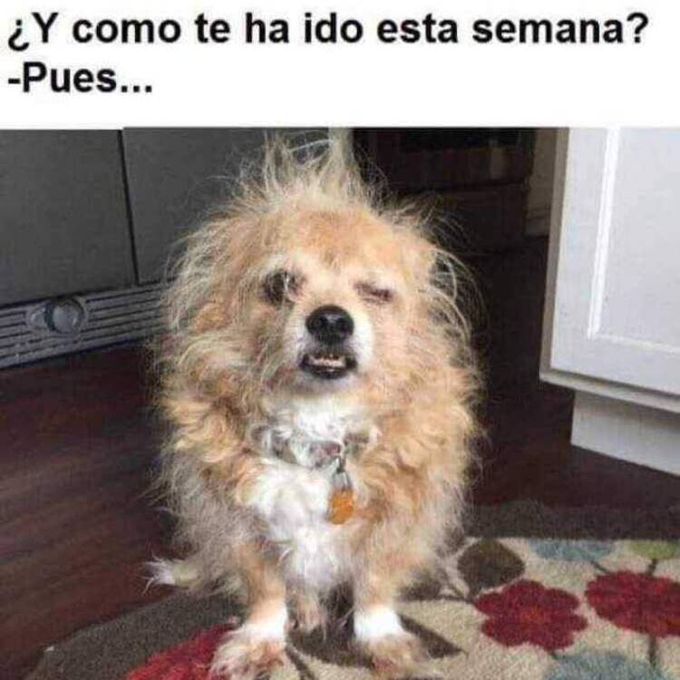 Foto de perfil de Mario