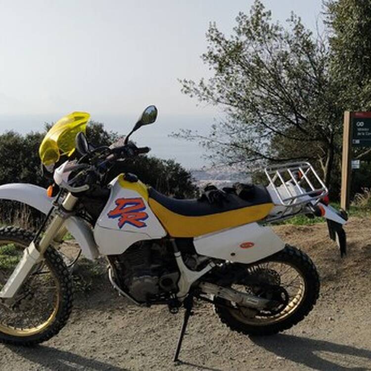 Foto de perfil de bruno