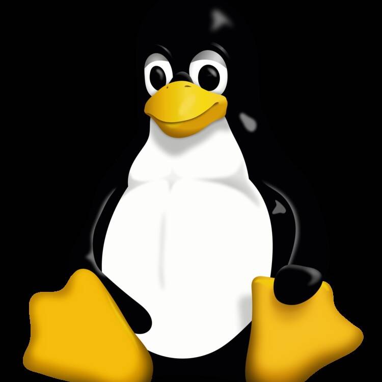 Foto de perfil de Joan_bcm