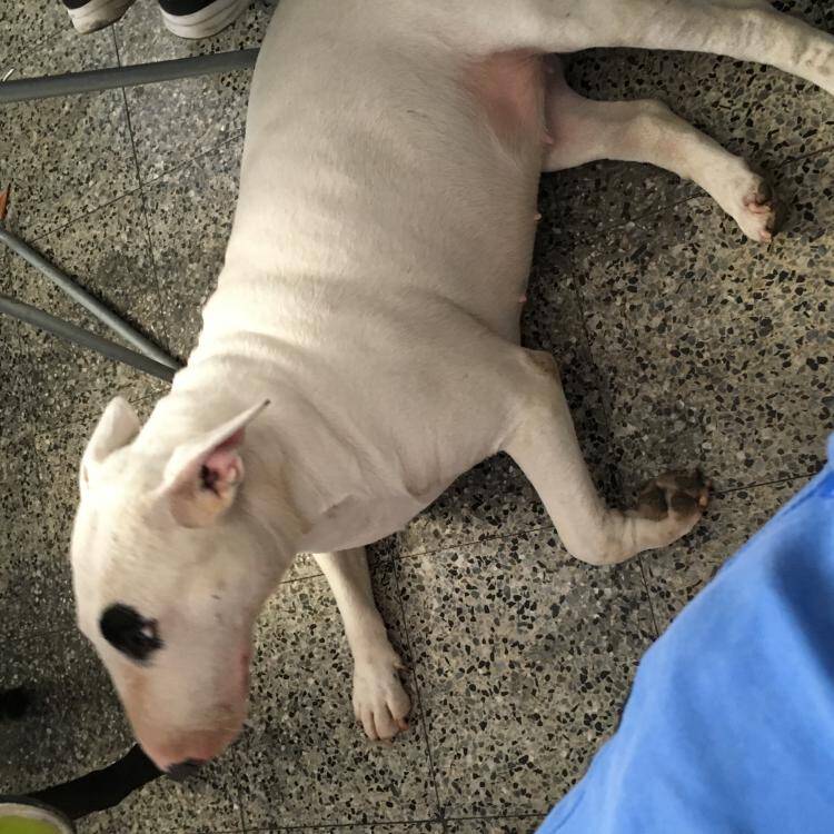 Foto de perfil de Bibimala@hotmail.com