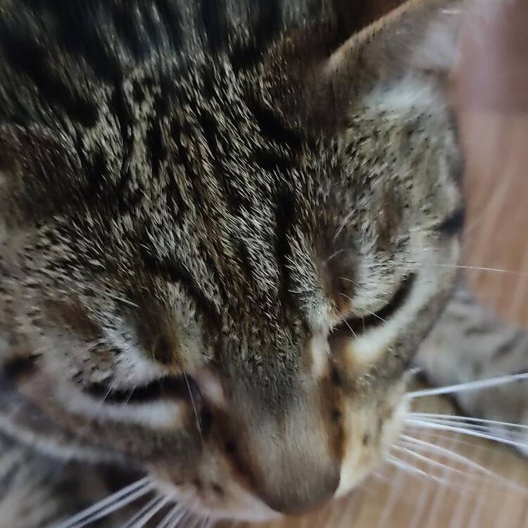 Foto de perfil de Marta