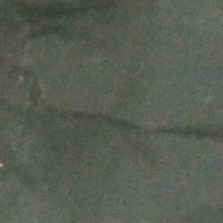 Foto de perfil de Elmen