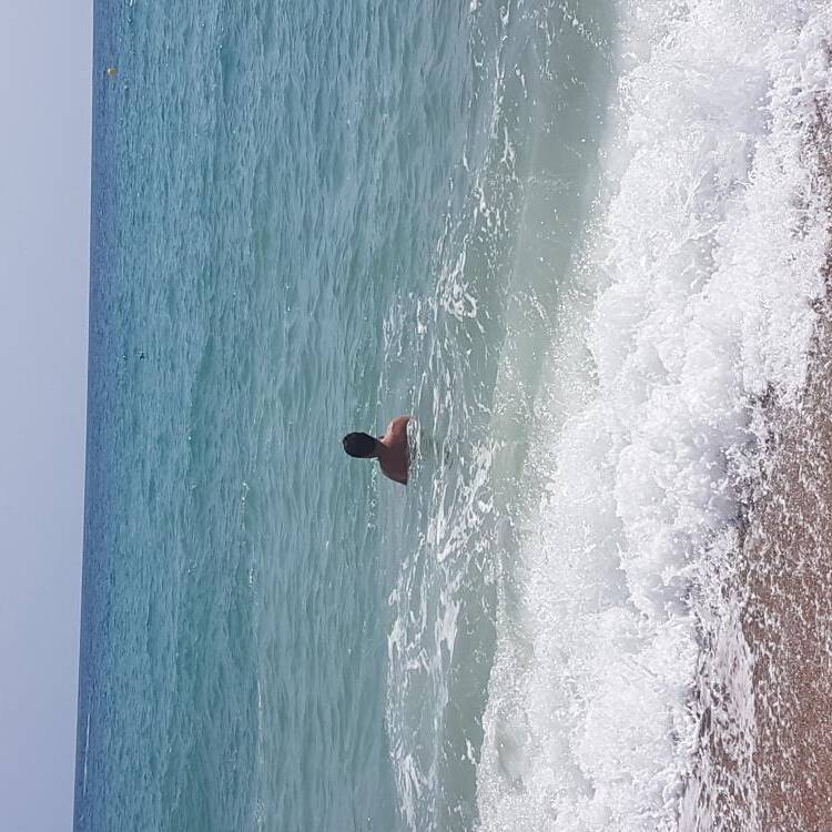 Foto de perfil de Jose