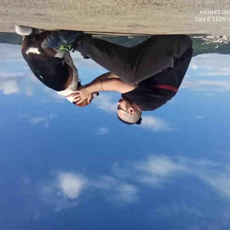 Foto de perfil de lluis