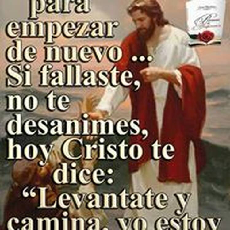 Foto de perfil de Jose Rodriguez