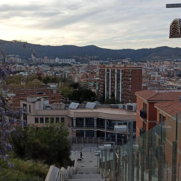 Foto de perfil de Juan Felipe