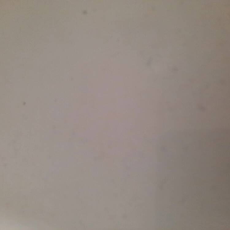 Foto de perfil de Jhonny