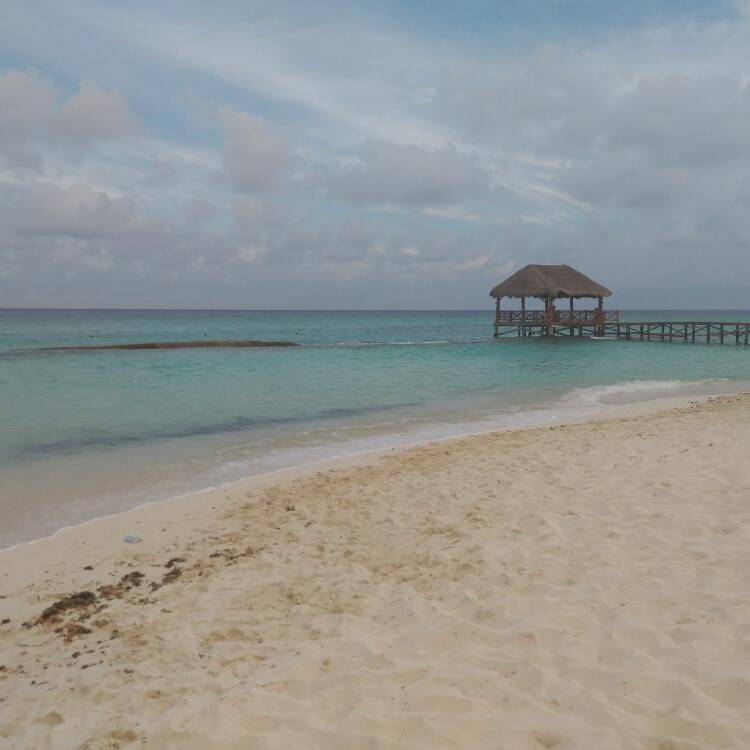 Foto de perfil de Adriana Sanchez