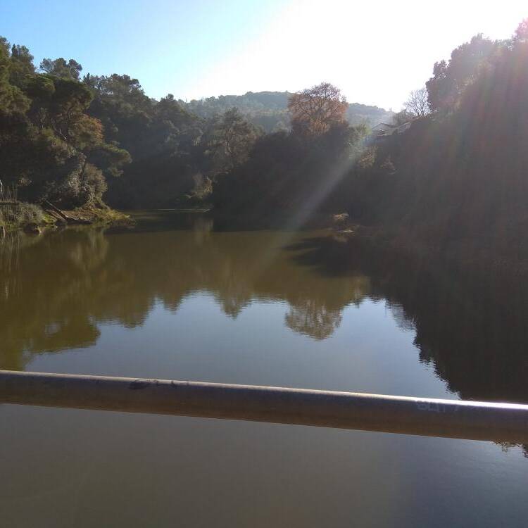 Foto de perfil de Miryam