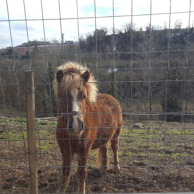 Foto de perfil de Jordi