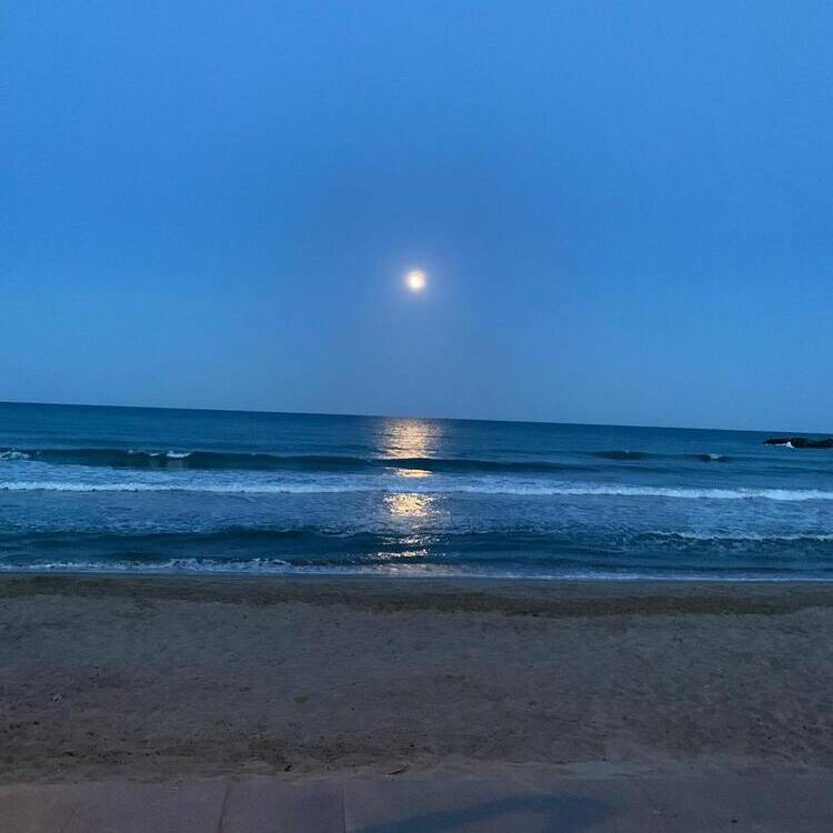 Foto de perfil de Shaila