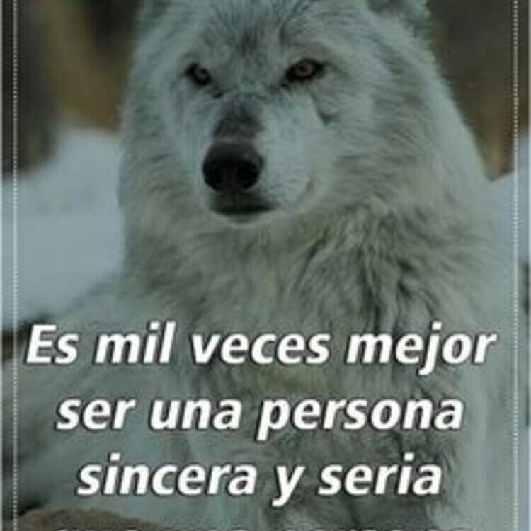 Foto de perfil de Moreno