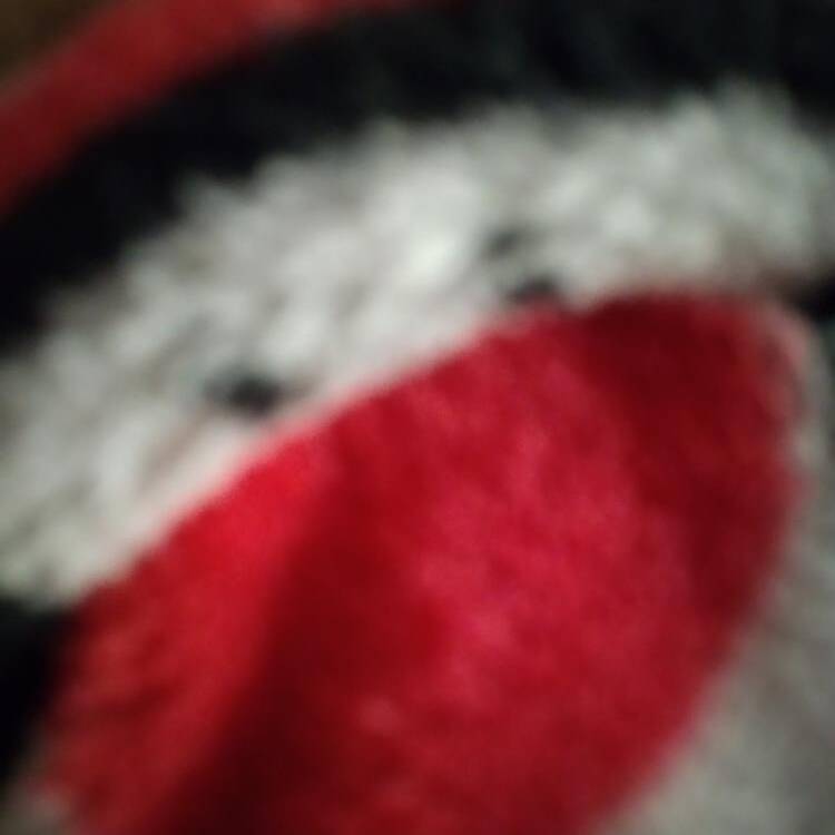 Foto de perfil de Mar