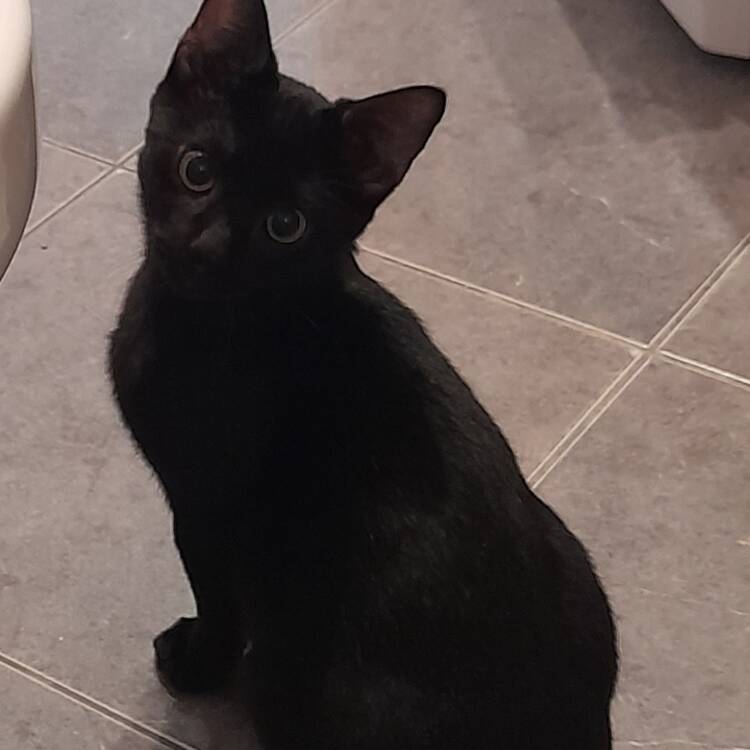 Foto de perfil
