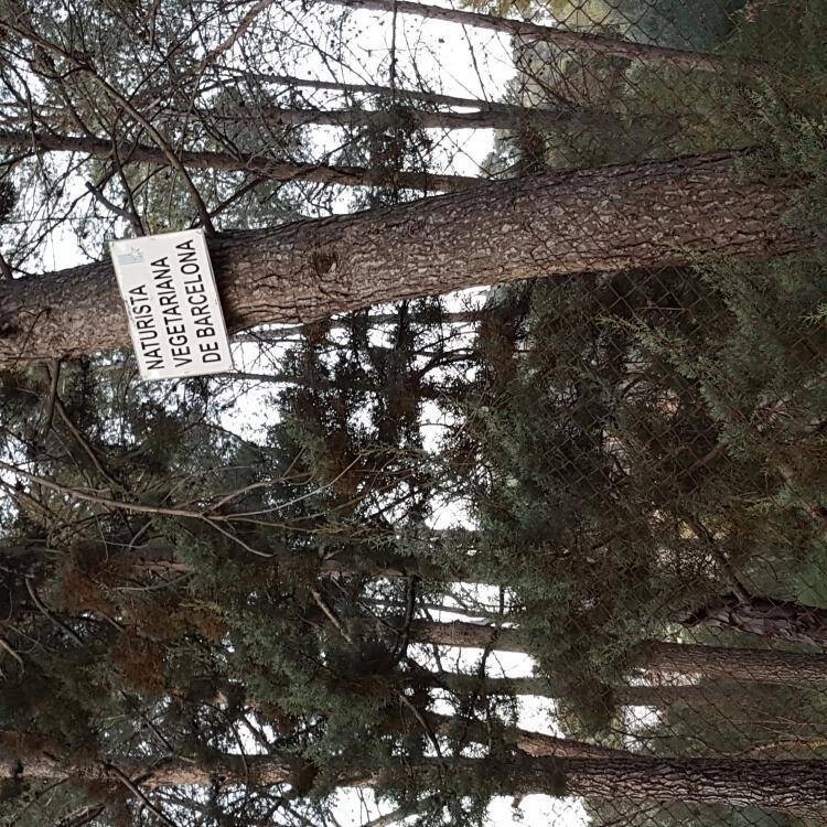 Foto de perfil de Ecolome