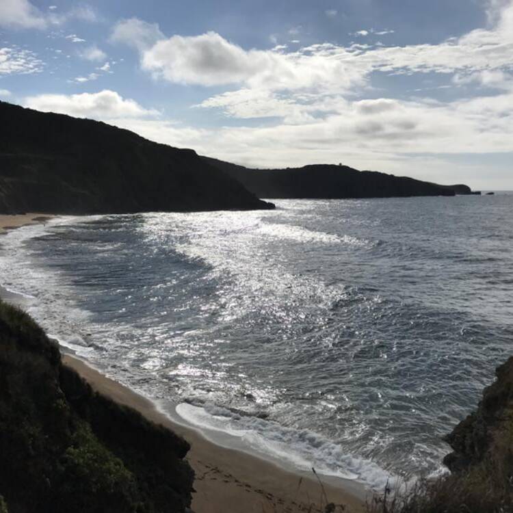 Foto de perfil de Patricia