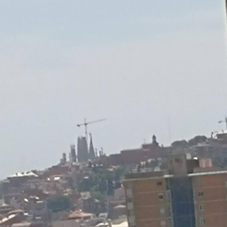 Foto de perfil de Maite