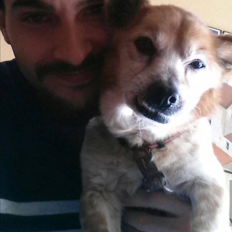 Foto de perfil de Pablo