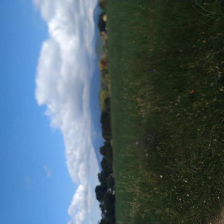 Foto de perfil de Shei