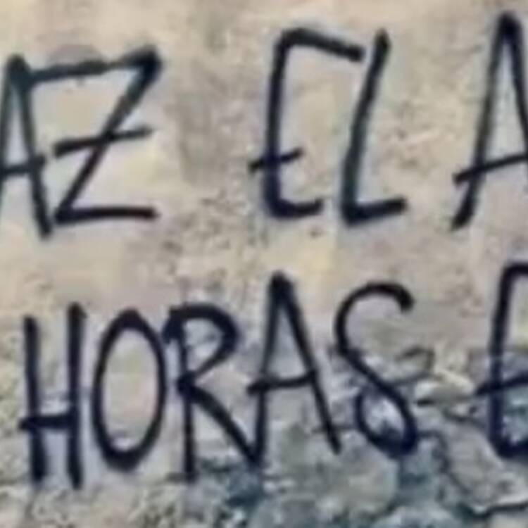 Foto de perfil de David