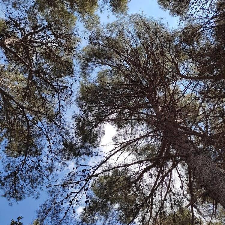 Foto de perfil de Luna