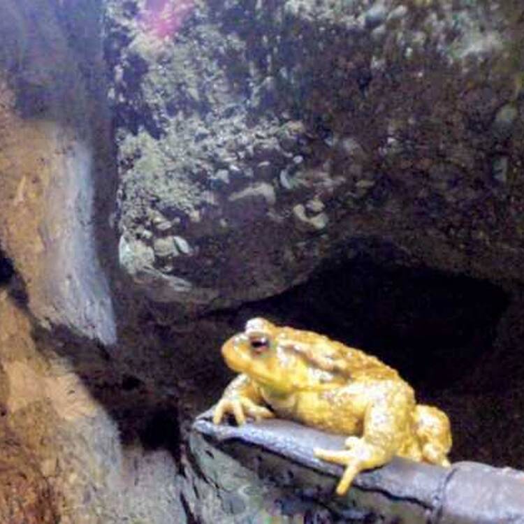 Foto de perfil de Lluna llena