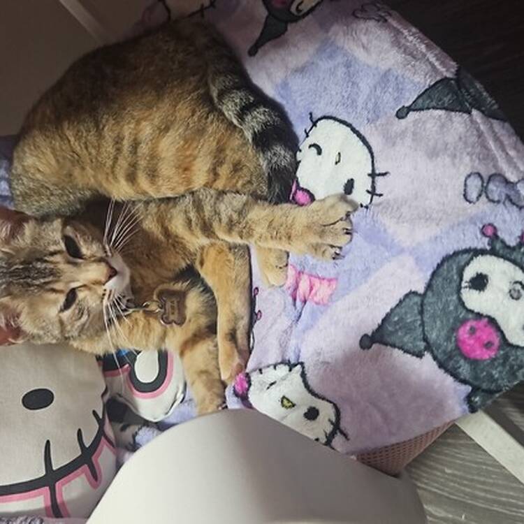 Foto de perfil