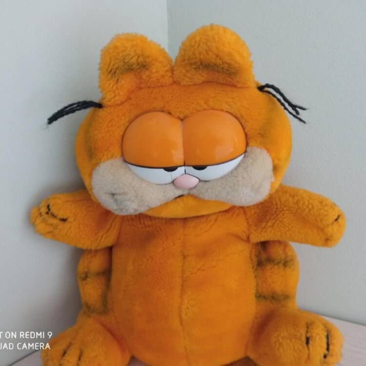 Foto de perfil de luci