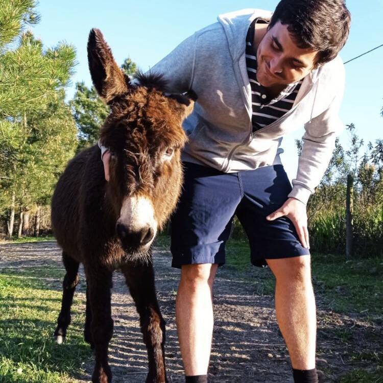 Foto de perfil de Sebastião Palma