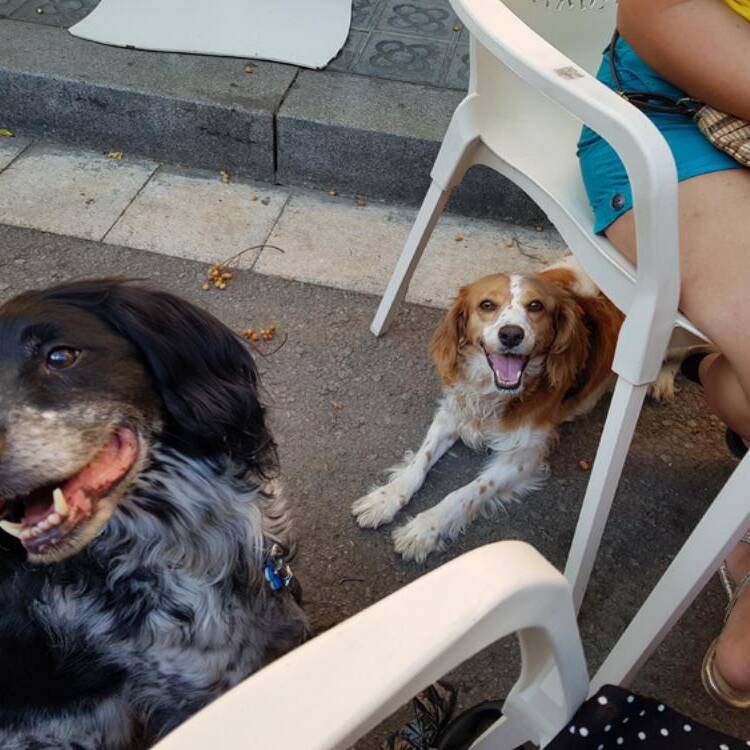 Foto de perfil de Tita