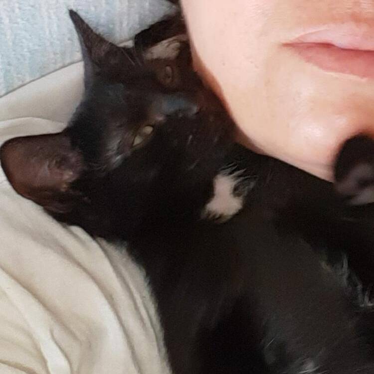 Foto de perfil de Rosa