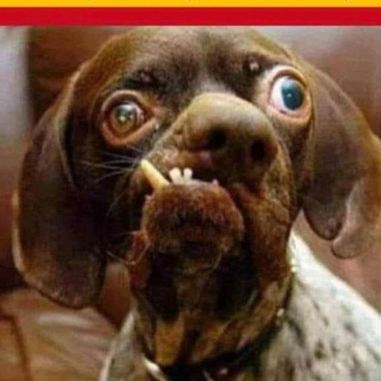 Foto de perfil de J