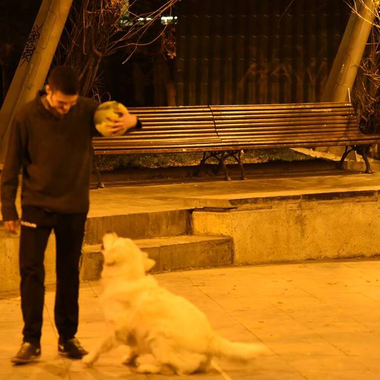 Foto de perfil