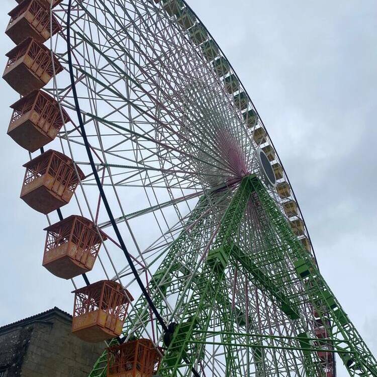 Foto de perfil de Rosa