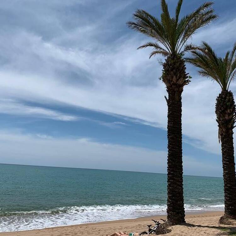 Foto de perfil de Marie
