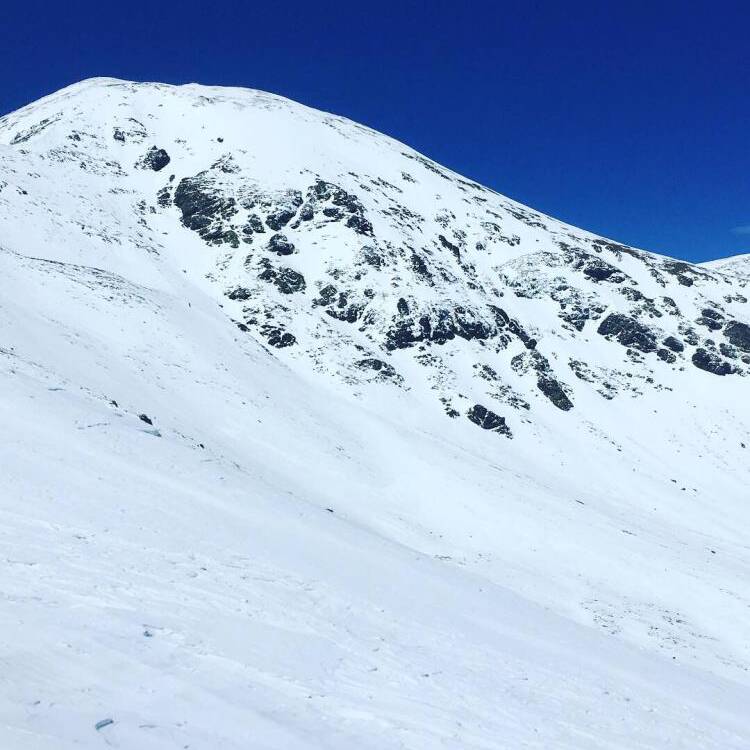 Foto de perfil de Hector