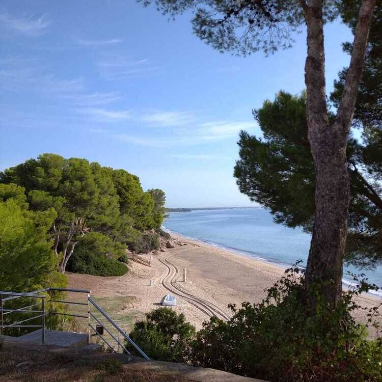 Foto de perfil de Montse