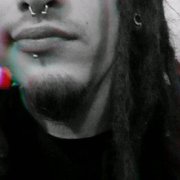 Foto de perfil de Dario