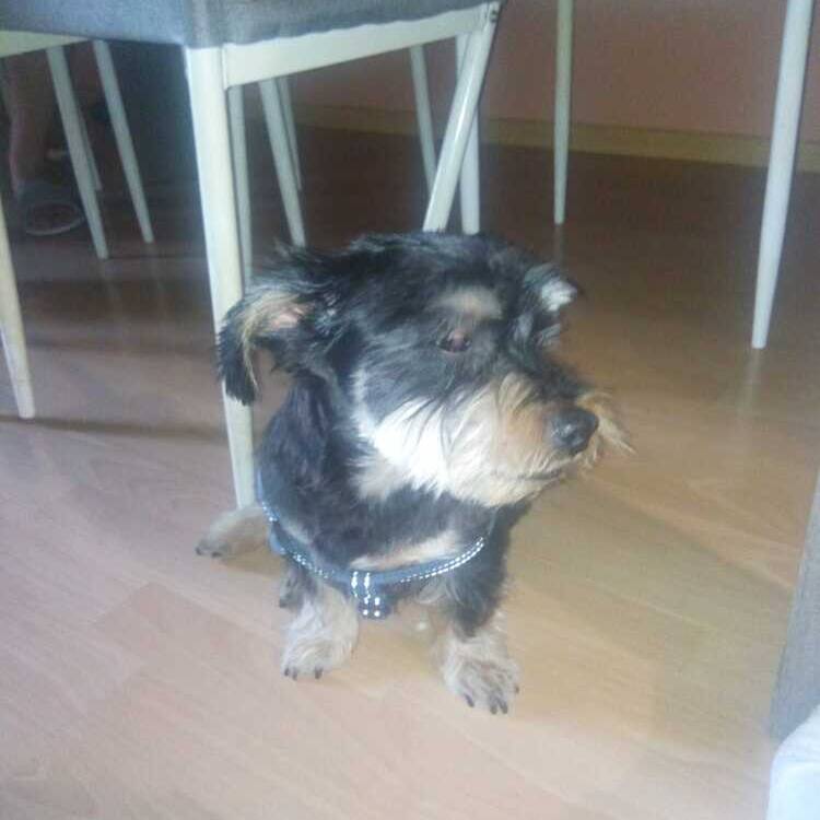 Foto de perfil de Nerea