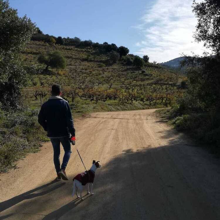 Foto de perfil de Carlos